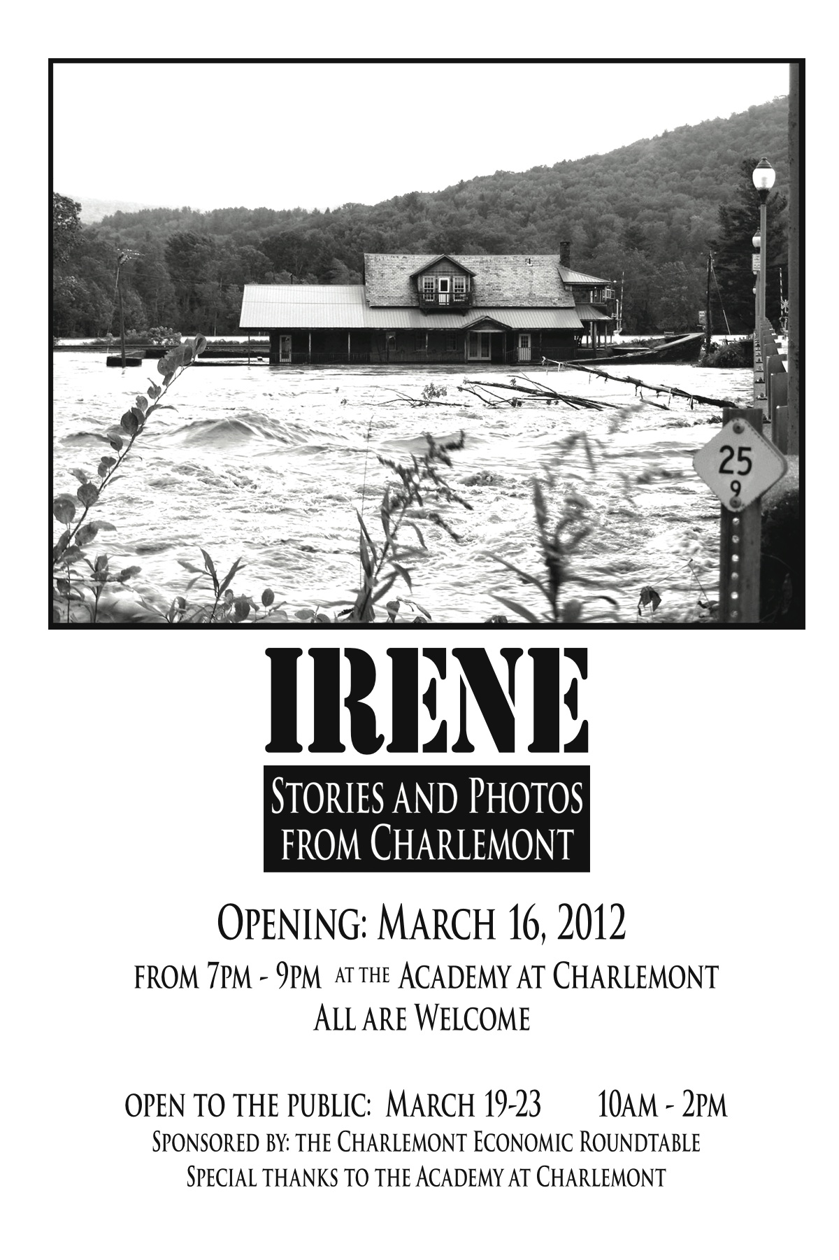 ireneexhibit