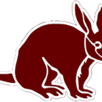 maroon aardvark.fw